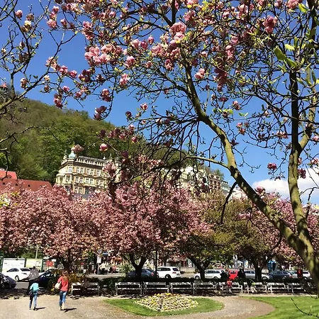 Kucera Karlovy Vary
